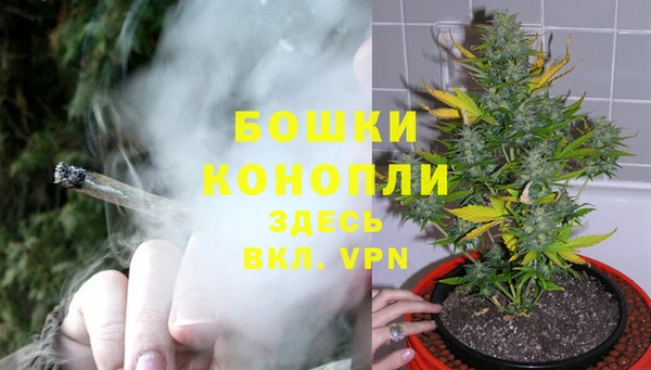 ALPHA PVP Медвежьегорск
