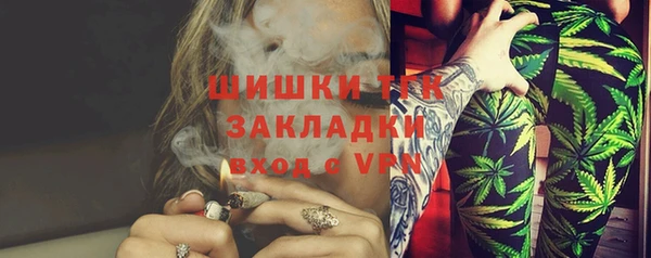 СК Медногорск
