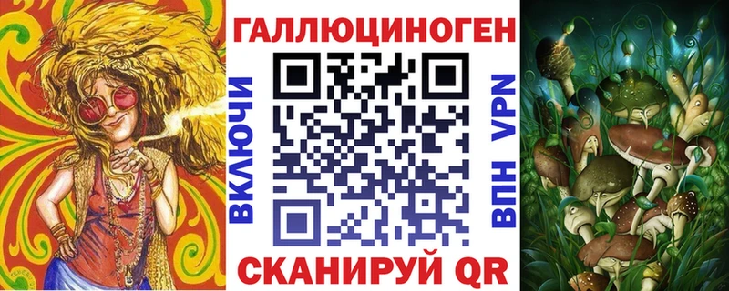 наркотики  Юрьевец  Псилоцибиновые грибы MAGIC MUSHROOMS 